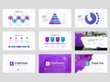 Cryptocurrency & Bitcoin Presentation Infographics Slide
